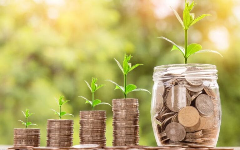 crédit d'impôts aménagement paysager