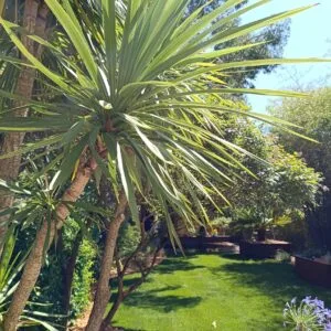 jardins de ville