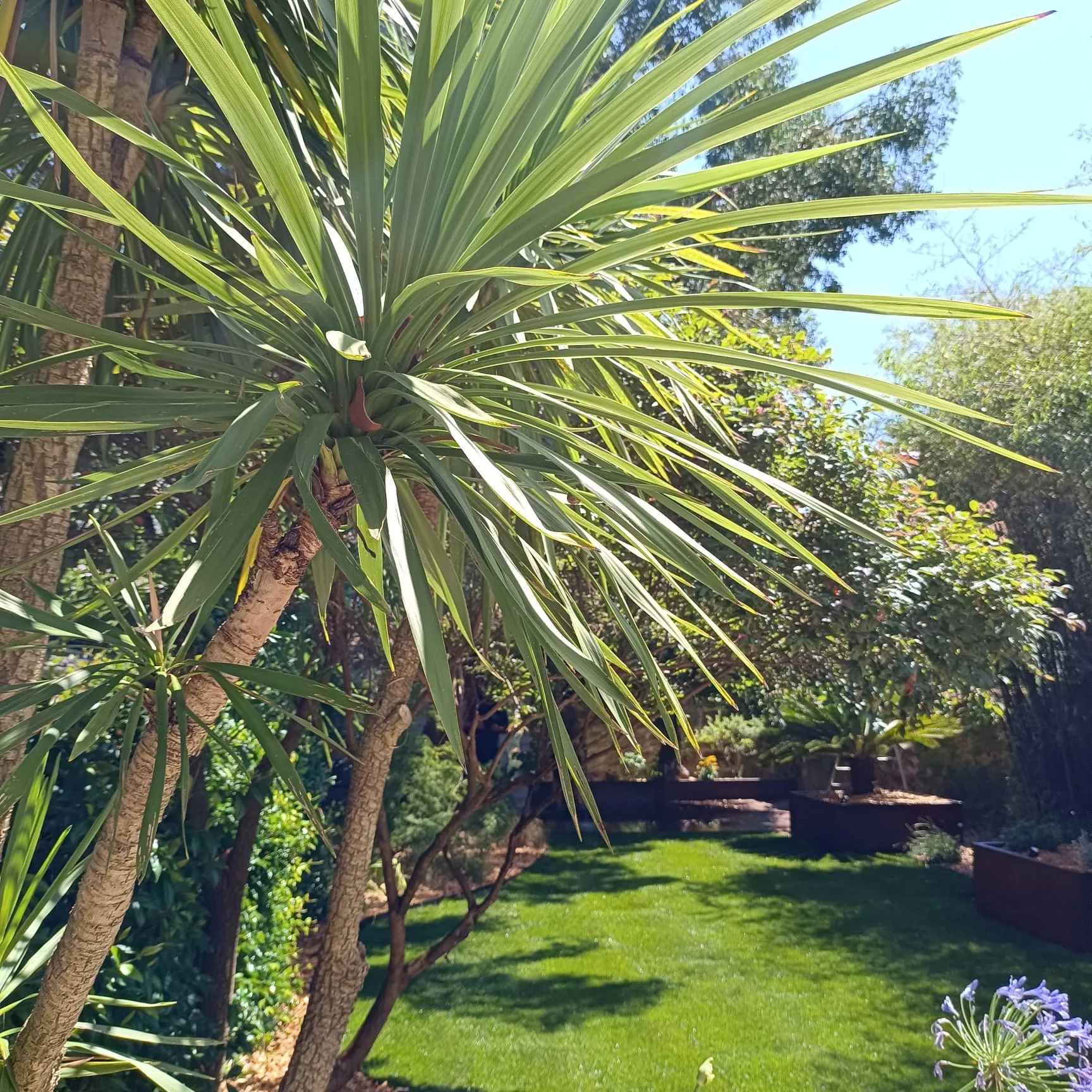 jardins de ville