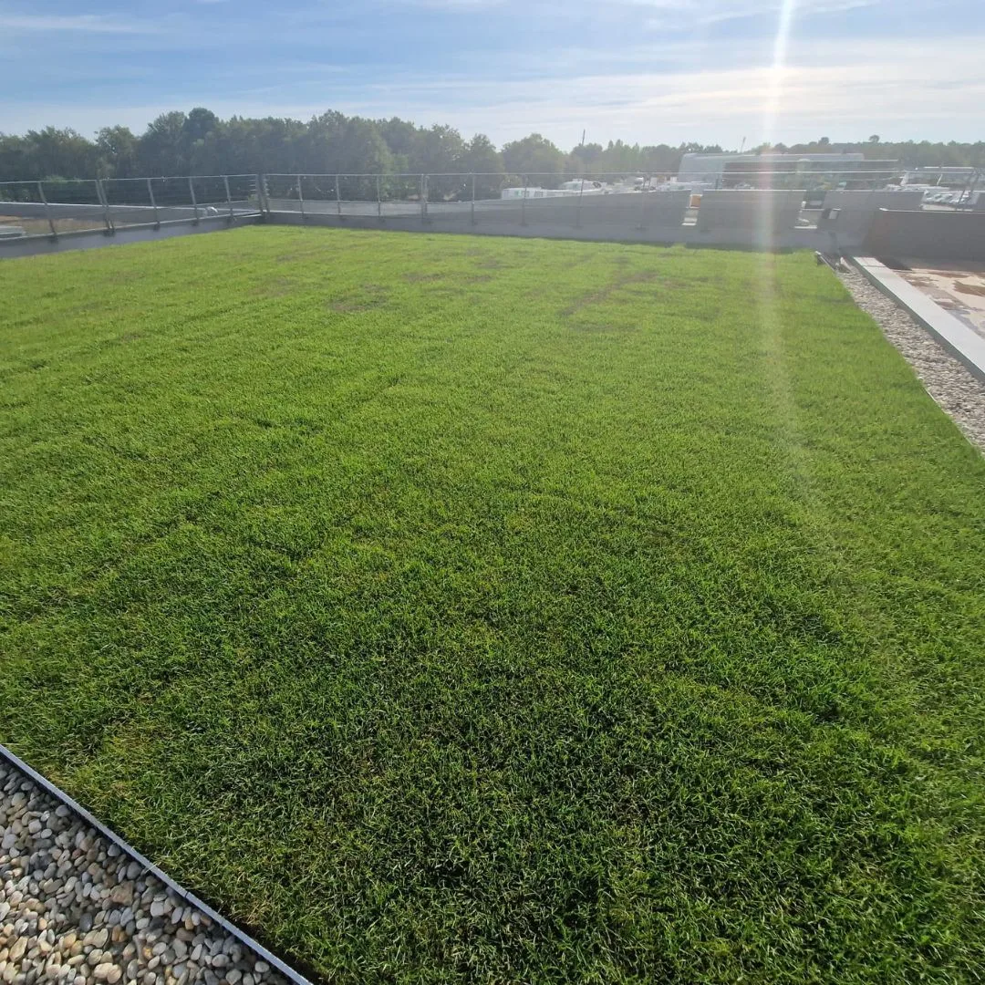 Aménagement d&rsquo;une toiture végétalisée