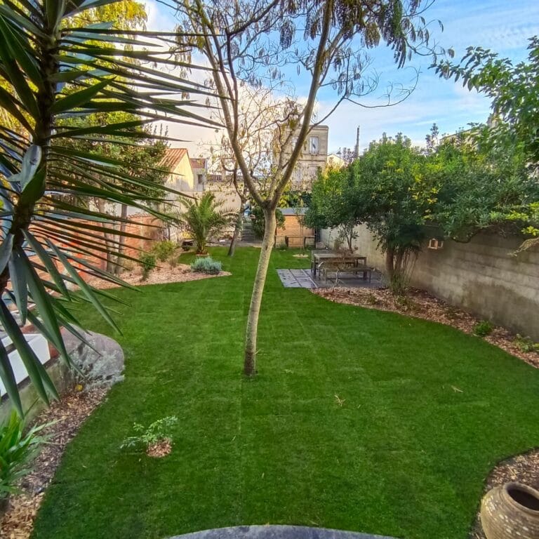 Jeune arbre et massifs paillés dans un jardin de ville, pelouse fraîchement installée