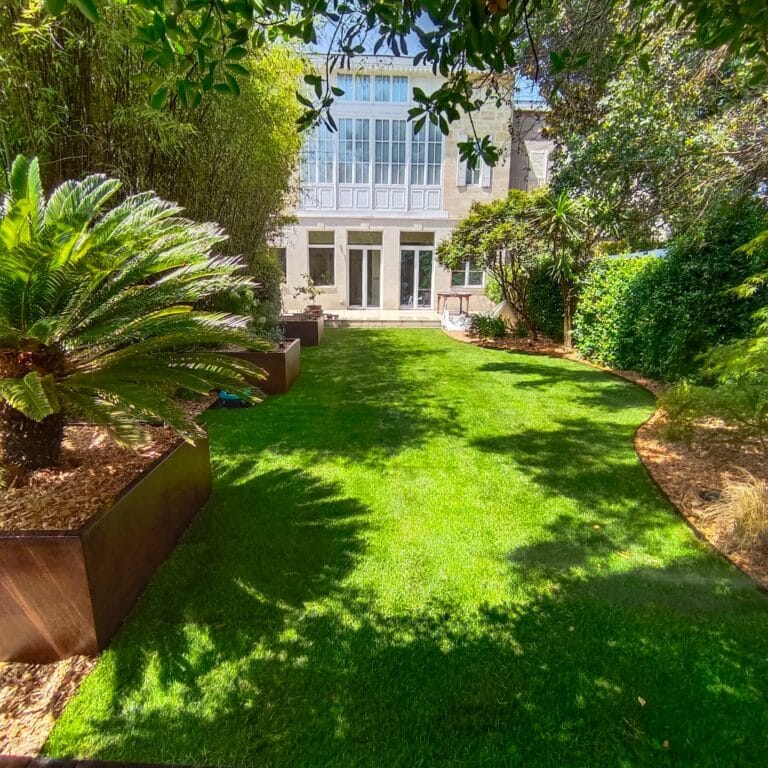 Jardin de ville avec pelouse, cycas en bac corten et haies taillées