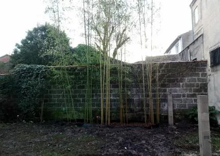 hauteur 6 et 8m