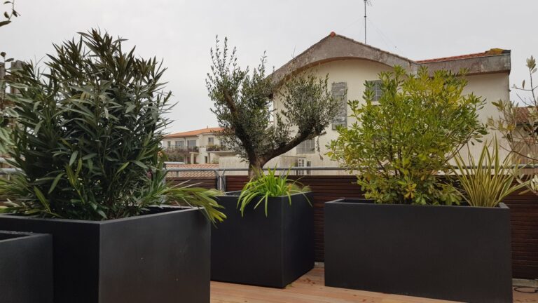 Bacs noirs plantés d’oliviers, lauriers-roses et graminées alignés en bord de terrasse