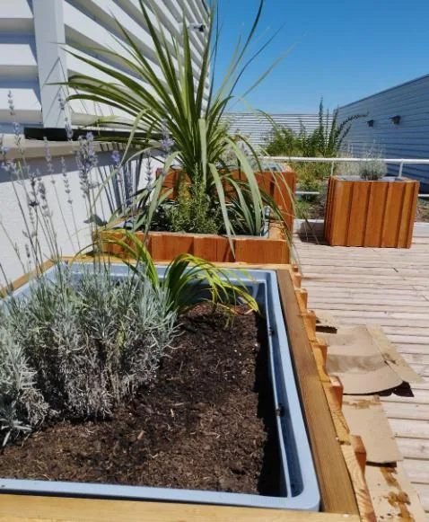terrasse d'entreprise sur Bordeaux aménagement terrasses