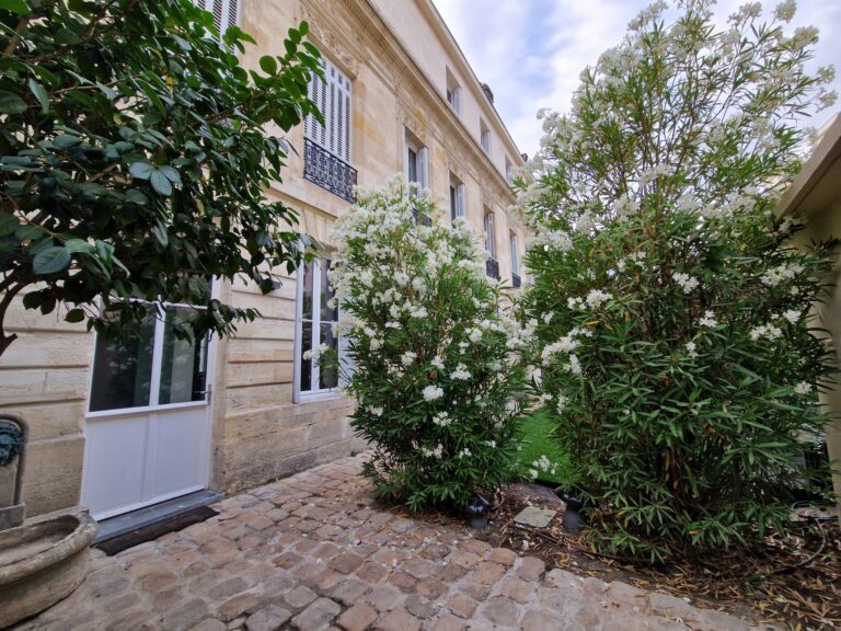 Jardin terminé : lauriers-roses blancs en fleurs et allée pavée le long de la façade
