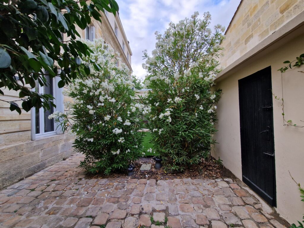 Allée pavée bordée de lauriers-roses en fleurs, menant à la porte de service